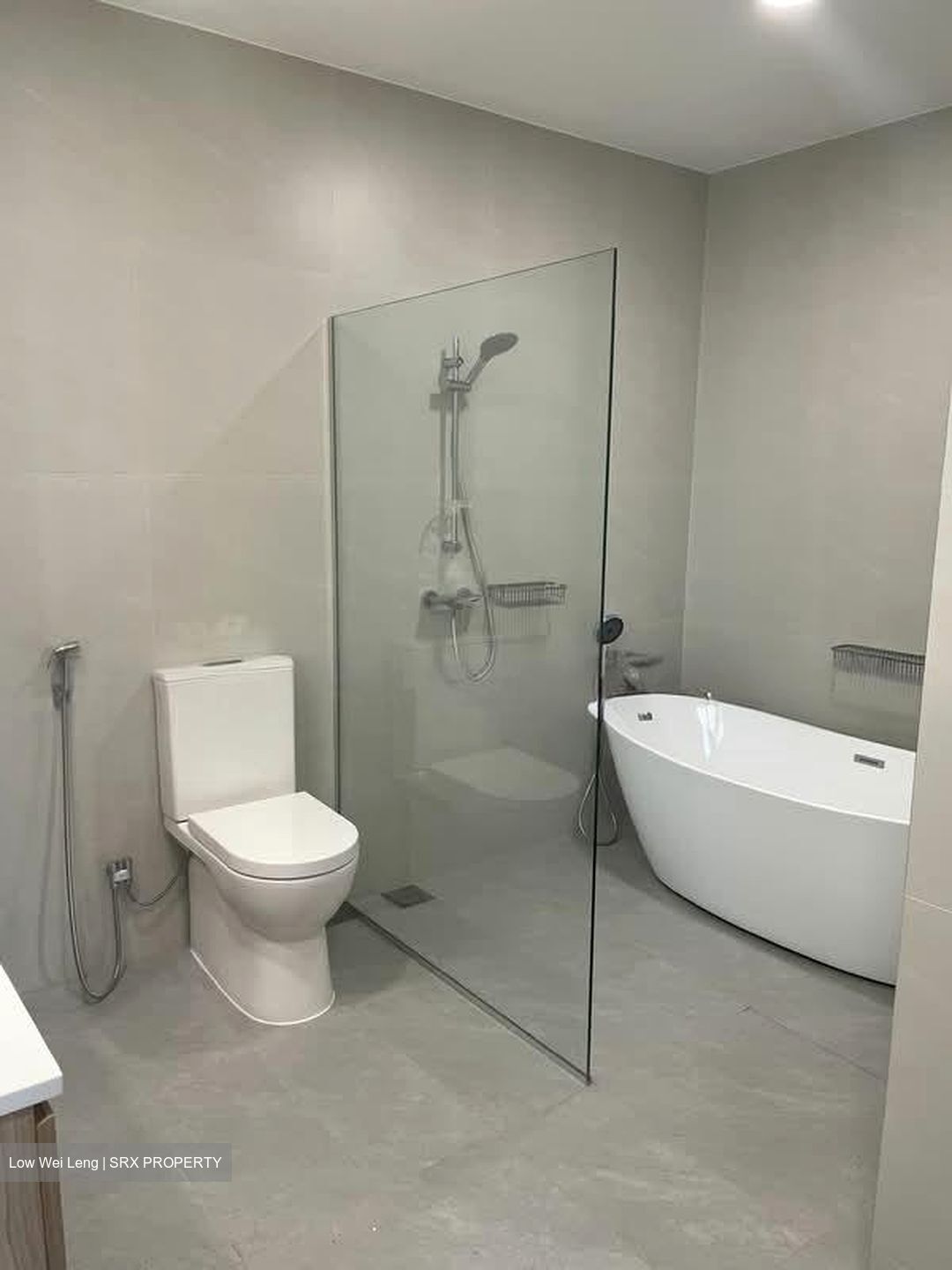 Balmoral Park (D10), Terrace #560724391